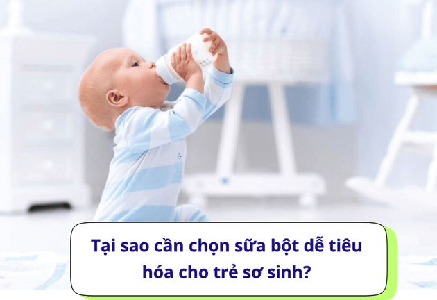 Top 5 loại sữa bột dễ tiêu hóa nhất cho trẻ sơ sinh 