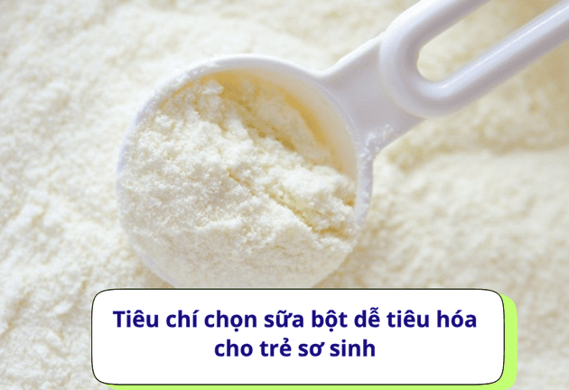 Top 5 loại sữa bột dễ tiêu hóa nhất cho trẻ sơ sinh 