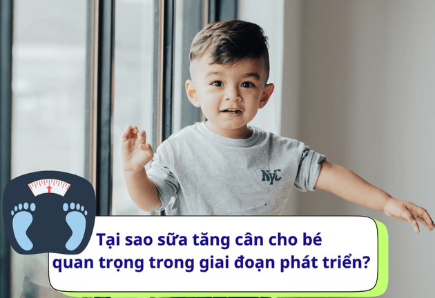 Top 5 sữa tăng cân cho bé chậm lớn, thấp còi