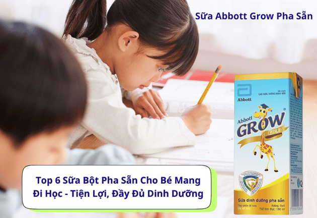 Top 6 Sữa Bột Pha Sẵn Cho Bé Mang Đi Học -  Tiện Lợi, Đầy Đủ Dinh Dưỡng