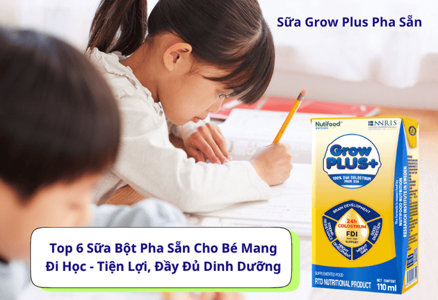 Top 6 Sữa Bột Pha Sẵn Cho Bé Mang Đi Học -  Tiện Lợi, Đầy Đủ Dinh Dưỡng