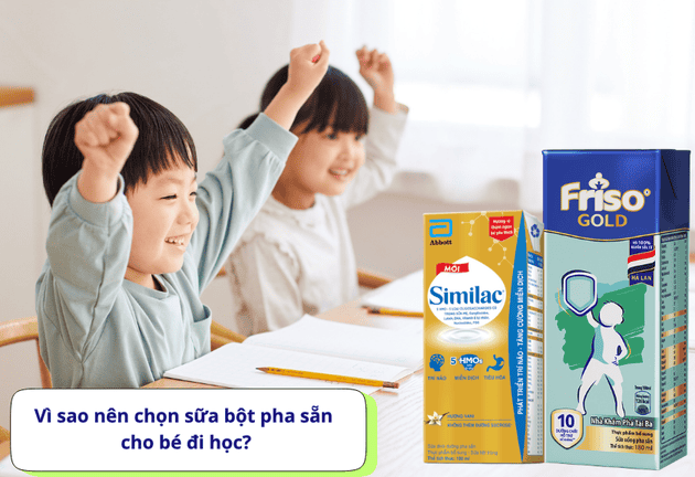 Top 6 Sữa Bột Pha Sẵn Cho Bé Mang Đi Học -  Tiện Lợi, Đầy Đủ Dinh Dưỡng
