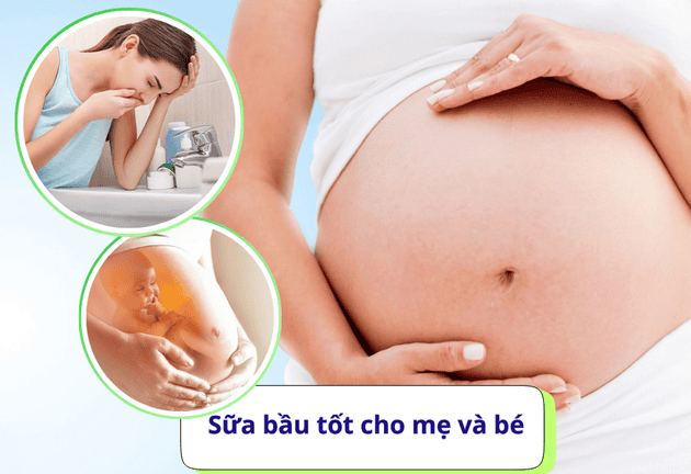 Top Sữa Bầu Nổi Bật Giúp Mẹ Khỏe – Bé Tăng Cân Đều Trong 9 Tháng 10 Ngày