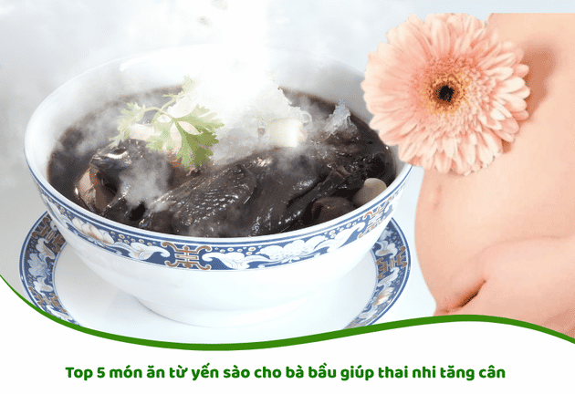 món ăn từ yến sào cho bà bầu