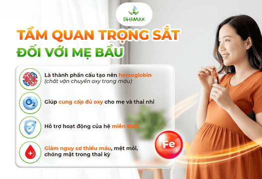 sữa bổ sung sắt cho mẹ bầu tốt nhất 2026