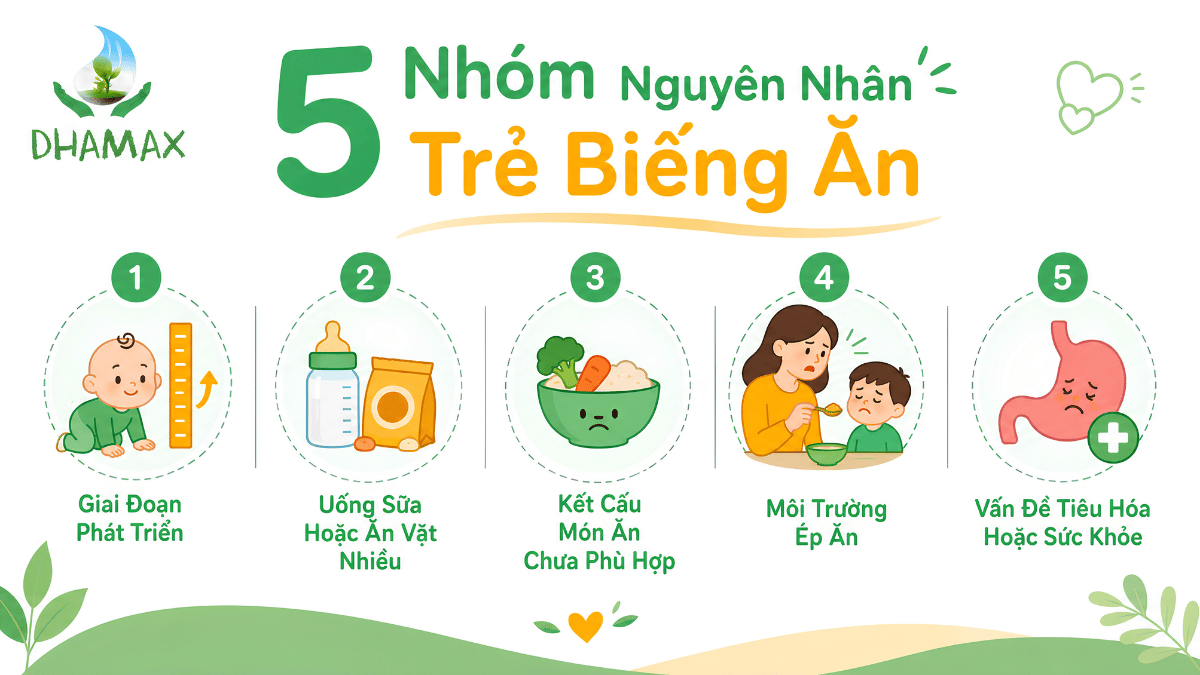 Infographic các nguyên nhân thường gặp khiến trẻ biếng ăn và kén ăn
