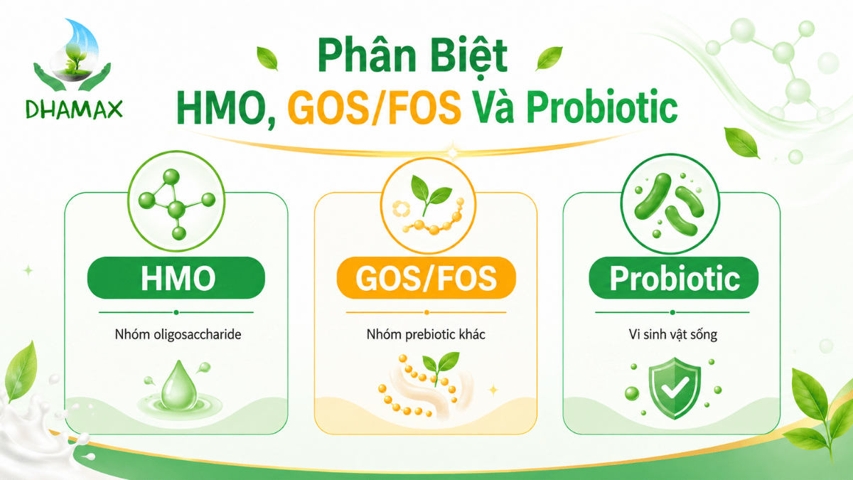 Các tên HMO thường gặp như 2-FL LNnT 3-FL LNT