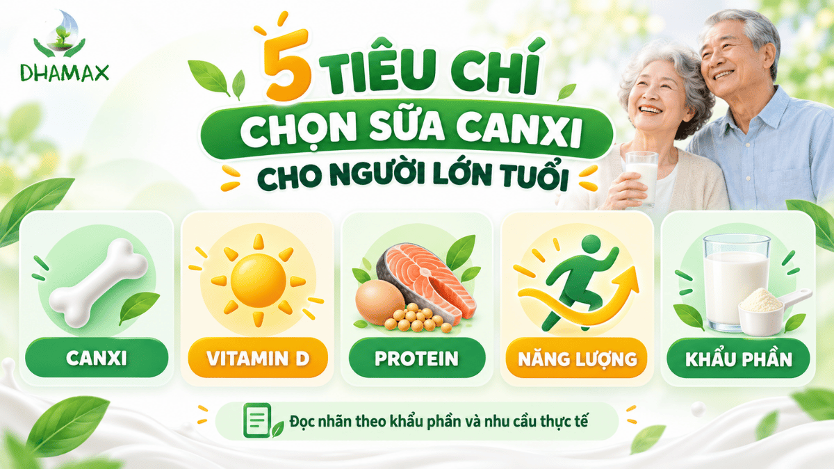 Infographic 5 tiêu chí chọn sữa canxi cho người lớn tuổi gồm canxi vitamin D protein năng lượng và khẩu phần