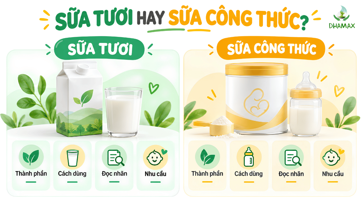 Infographic so sánh sữa tươi và sữa công thức cho bé 2 tuổi