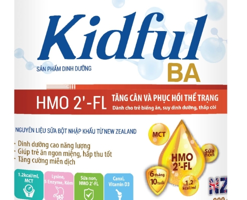 Sữa bột Kidful BA