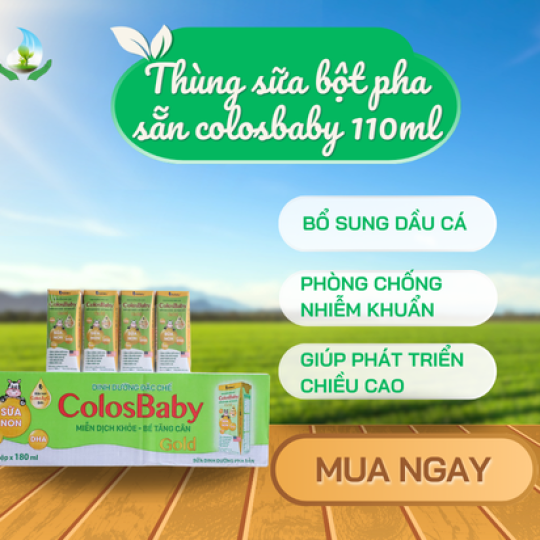 Thùng sữa bột pha sẵn colsbaby gold 110 ml