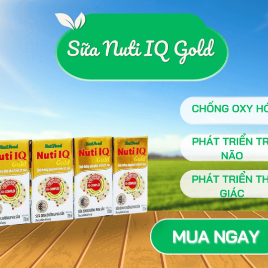 Sữa bột pha sẵn Nuti IQ Gold