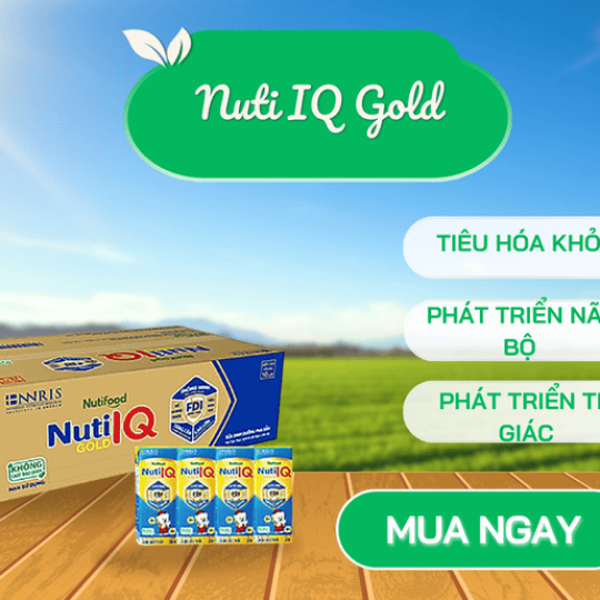 Sữa bột pha sẵn Nuti IQ Gold (180ml) - Lốc 4 hộp